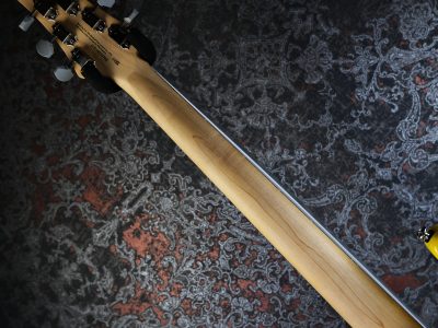 PRS 2025 SE Silver Sky Rosewood Dandy Lion