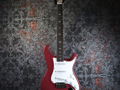 PRS 2025 SE Silver Sky Rosewood Derby Red