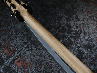 PRS 2024 MYLES KENNEDY Hunters Green