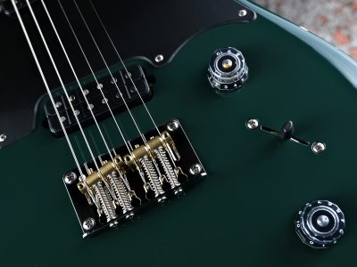 PRS 2024 MYLES KENNEDY Hunters Green