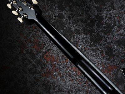 PRS 2025 S2 Custom 24 Custom Color