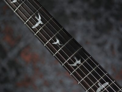 Paul Reed Smith(PRS) 2025 SE Studio Standard Sage Green