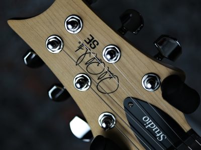 Paul Reed Smith(PRS) 2025 SE Studio Standard Sage Green