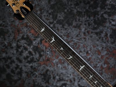 Paul Reed Smith(PRS) SE Custom 24 Blue Matteo Natural Back