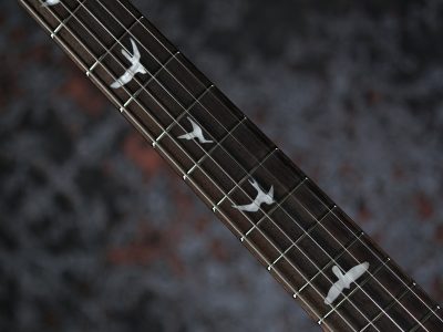 Paul Reed Smith(PRS) SE Custom 24 Blue Matteo Natural Back