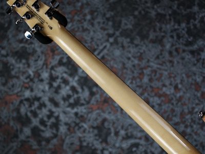 Paul Reed Smith(PRS) 2025 SE Custom 24 Turquoise