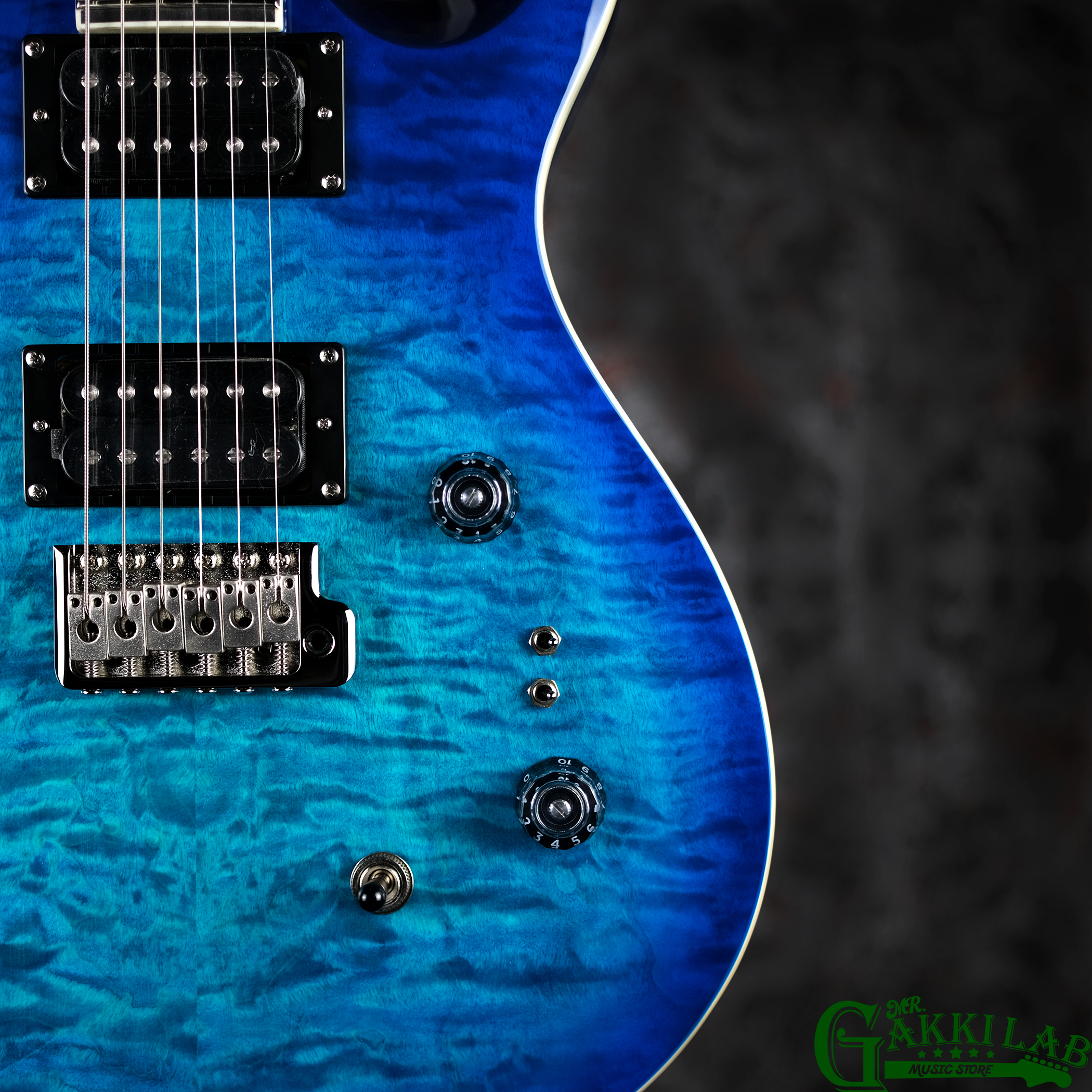 お得 レア 定価以下 限定 DOME LOOK BLUE GRAY 2個セット Paul Reed Smith(PRS) 2025 SE Custom 24-08 Quilt Package Lake