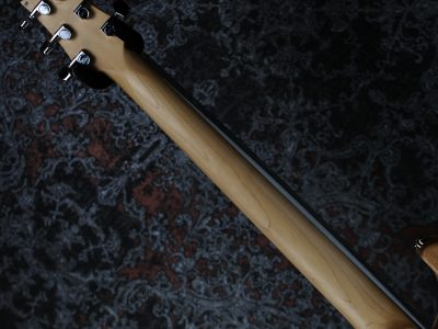 PRS 2025 CE 24 Custom Configuration Black Top (Natural Back)