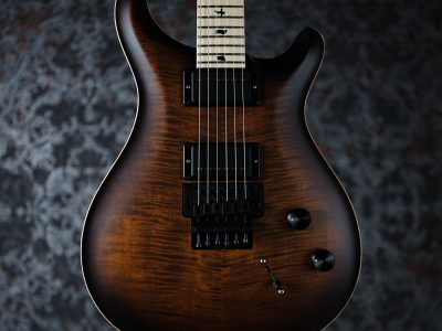 PRS 2022 Dustie Waring CE24 Floyd Burnt Amber Wraparound Smokeburst