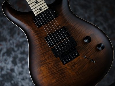 PRS 2022 Dustie Waring CE24 Floyd Burnt Amber Wraparound Smokeburst