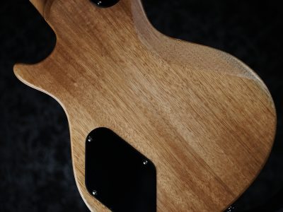 Paul Reed Smith(PRS) 2024 SE Zach Myers Myers Blue