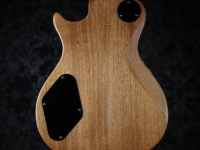 Paul Reed Smith(PRS) 2024 SE Zach Myers Myers Blue