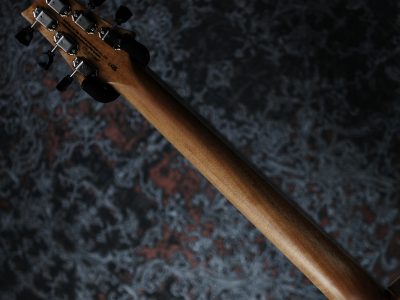 Paul Reed Smith(PRS) 2024 SE Zach Myers Myers Blue