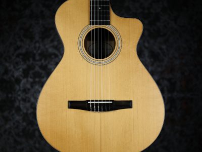 Taylor 112ce-N Sapele / Spruce