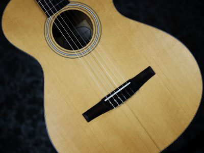 Taylor 112ce-N Sapele / Spruce