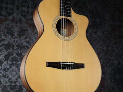 Taylor 112ce-N Sapele / Spruce
