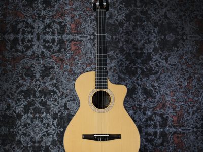 Taylor 112ce-N Sapele / Spruce