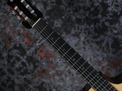 Taylor 112ce-N Sapele / Spruce