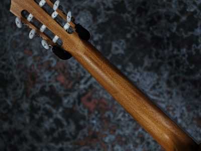 Taylor 112ce-N Sapele / Spruce