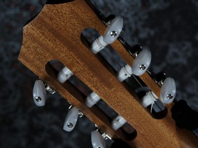 Taylor 112ce-N Sapele / Spruce