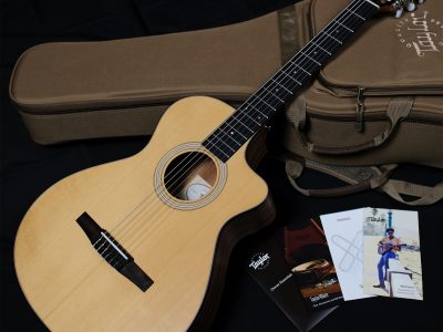 Taylor 112ce-N Sapele / Spruce