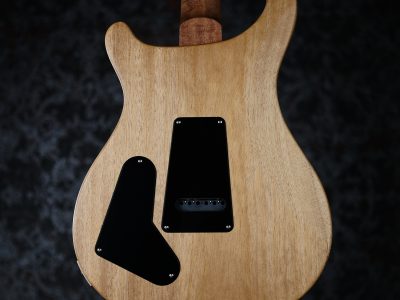 PRS 2025 S2 Special Semi-Hollow Reclaimed Limited Nautural