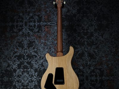 PRS 2025 S2 Special Semi-Hollow Reclaimed Limited Nautural