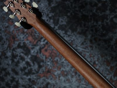 PRS 2025 S2 Special Semi-Hollow Reclaimed Limited Nautural