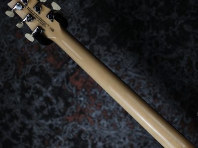 PRS 2025 SE Custom 24 Slate Blue