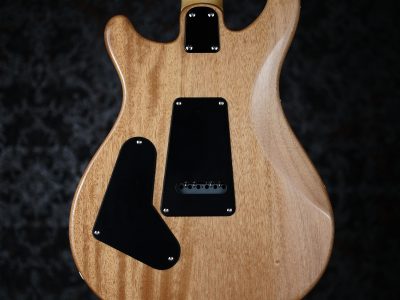 Paul Reed Smith(PRS) 2025 SE CE24 Slate Blue