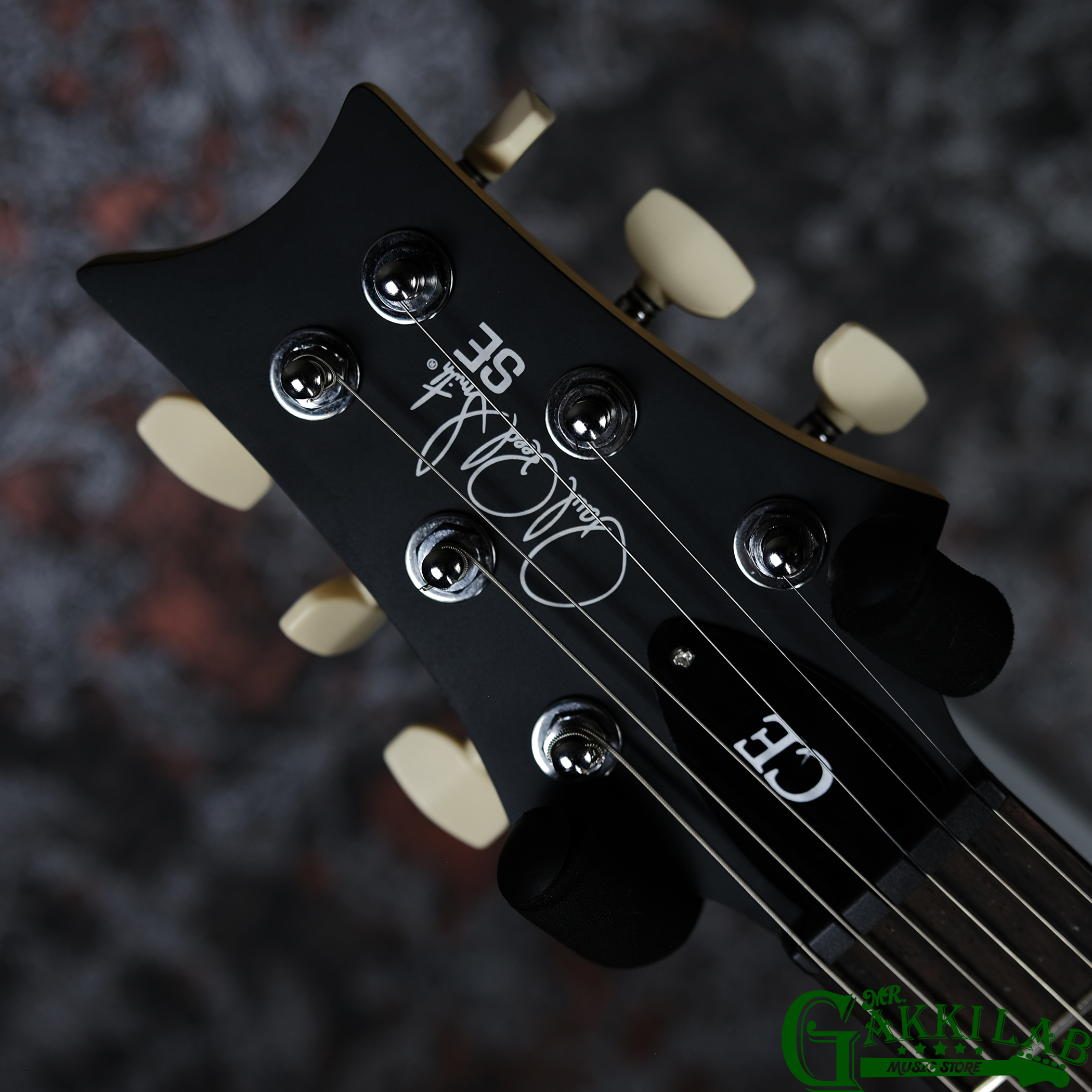 Paul Reed Smith(PRS) 2025 SE CE24 Slate Blue