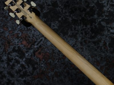 Paul Reed Smith(PRS) 2025 SE CE24 Slate Blue