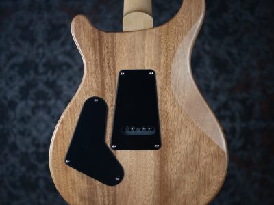 PRS 2024 SE Custom 24 Quilt Blue Fade (Japan Special)