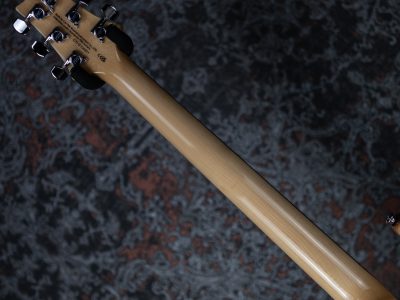 PRS 2024 SE Custom 24 Quilt Blue Fade (Japan Special)