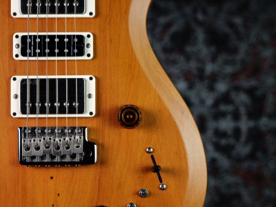 PRS 2025 S2 Special Semi-Hollow Reclaimed Limited Nautural