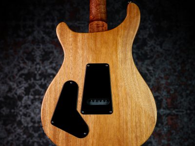 PRS 2025 S2 Special Semi-Hollow Reclaimed Limited Nautural