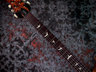 PRS 2025 S2 Special Semi-Hollow Reclaimed Limited Nautural