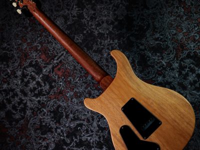 PRS 2025 S2 Special Semi-Hollow Reclaimed Limited Nautural