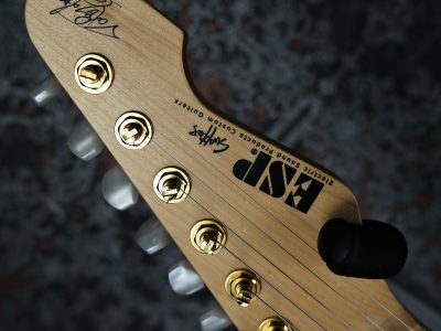 ESP SNAPPER Ohmura Custom -Eclipse Gold-