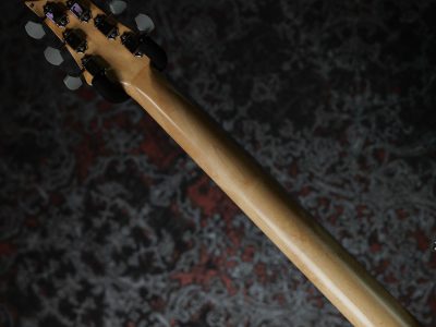 PRS 2025 Silver Sky Rosewood Fretboard / Venetian Blue