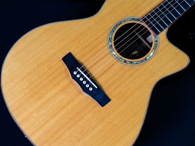 Morris S-101 III HAND MADE PREMIUM