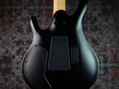 Paul Reed Smith(PRS) 2025 SE Chleo Charcoal Purple Burst