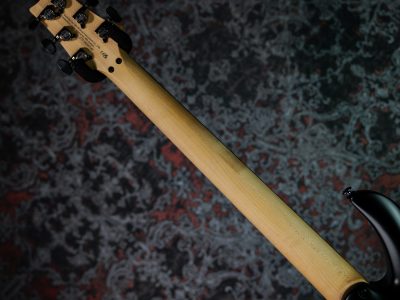 Paul Reed Smith(PRS) 2025 SE Chleo Charcoal Purple Burst