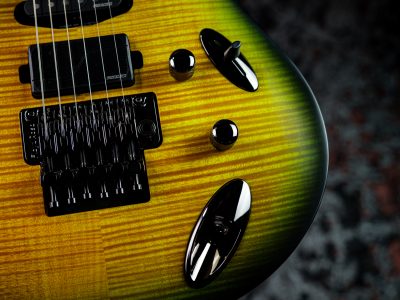 Paul Reed Smith(PRS) 2025 SE Chleo Herman Li Signature Mantis Burst