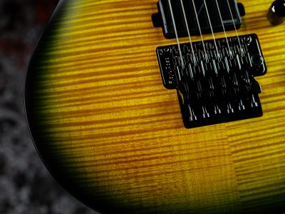 Paul Reed Smith(PRS) 2025 SE Chleo Herman Li Signature Mantis Burst
