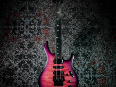 Paul Reed Smith(PRS) 2025 SE Chleo Orchid Dusk