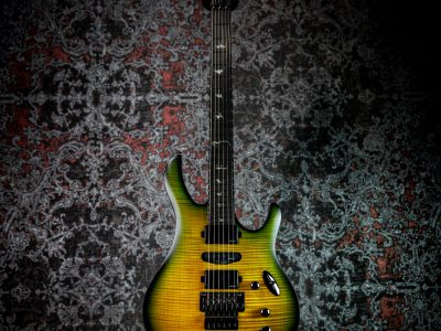 Paul Reed Smith(PRS) 2025 SE Chleo Herman Li Signature Mantis Burst