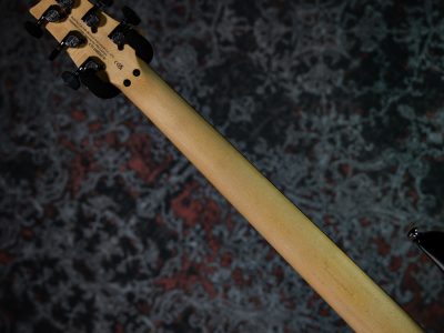 Paul Reed Smith(PRS) 2025 SE Chleo Herman Li Signature Mantis Burst