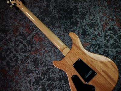 Paul Reed Smith(PRS) 2025 SE Custom 24 Slate Blue