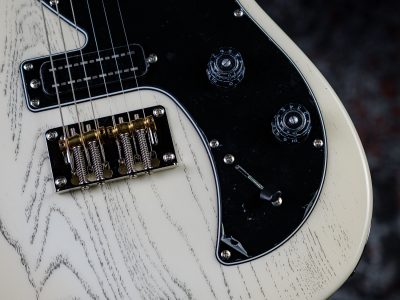 Paul Reed Smith(PRS) 2025 SE NF 53 White Doghair